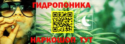 прущие грибы Чебоксары