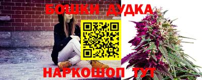 прущие грибы Чебоксары