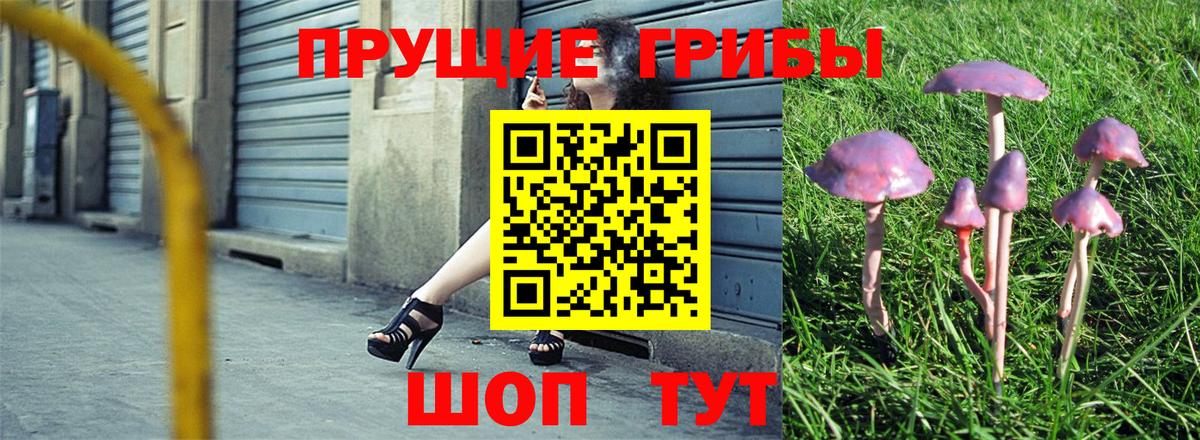 Галлюциногенные грибы MAGIC MUSHROOMS  Вход с VPN  Димитровград 