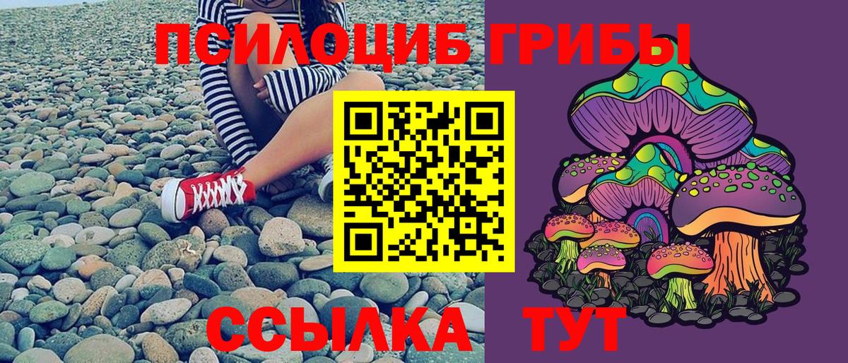 Галлюциногенные грибы прущие грибы Димитровград