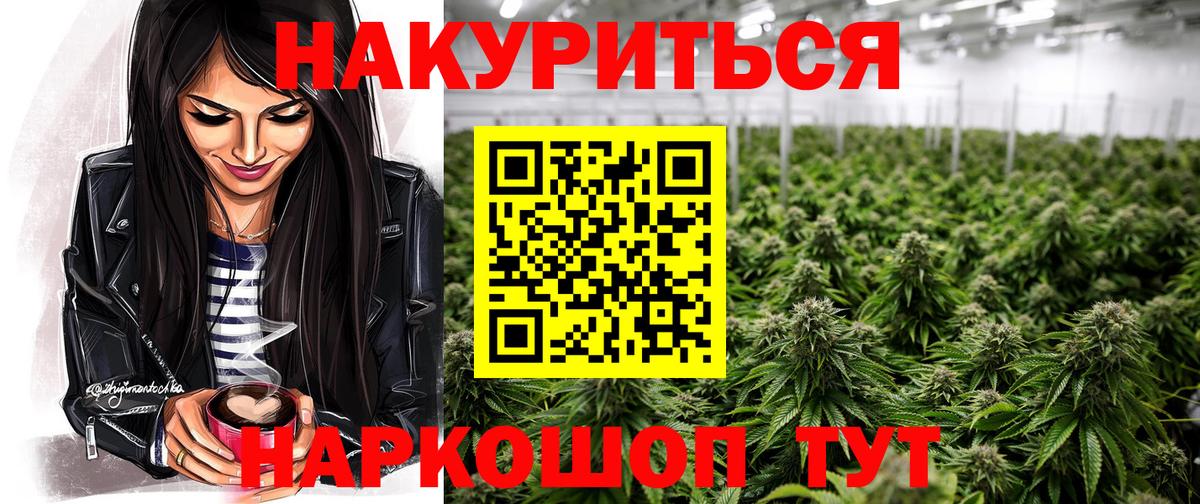 Канабис планчик Димитровград